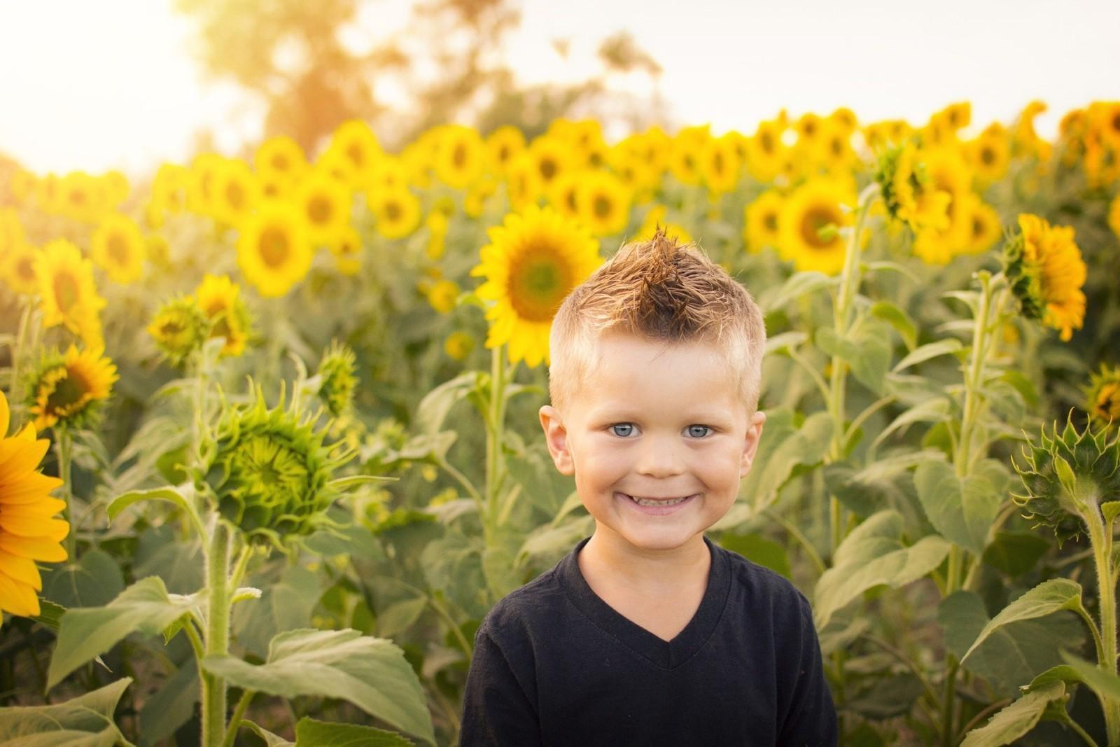 Pieni poika seisoo hymyillen auringonkukkapellolla.
