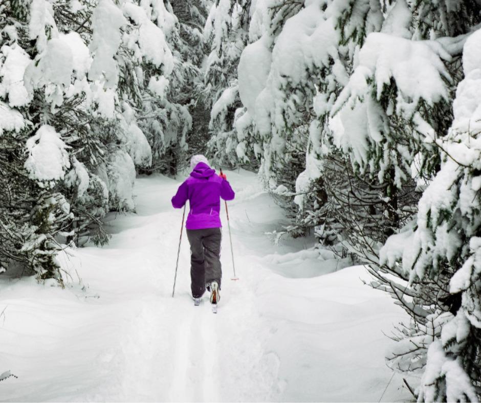 Nainen hiihtää lumisessa metsässä.